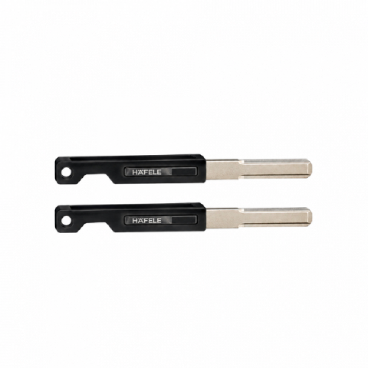 Hafele HORIZON PP2501W Akıllı Kapı Kilidi Siyah